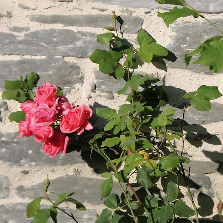 Hebergement Independant Centre Bourg Nozay  エクステリア 写真